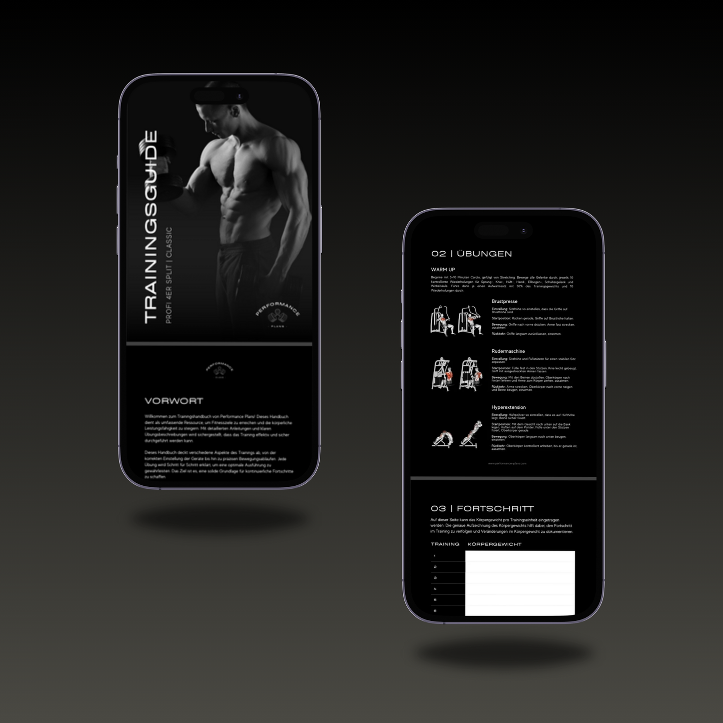 Trainingsplan Profi - 4er Split Classic