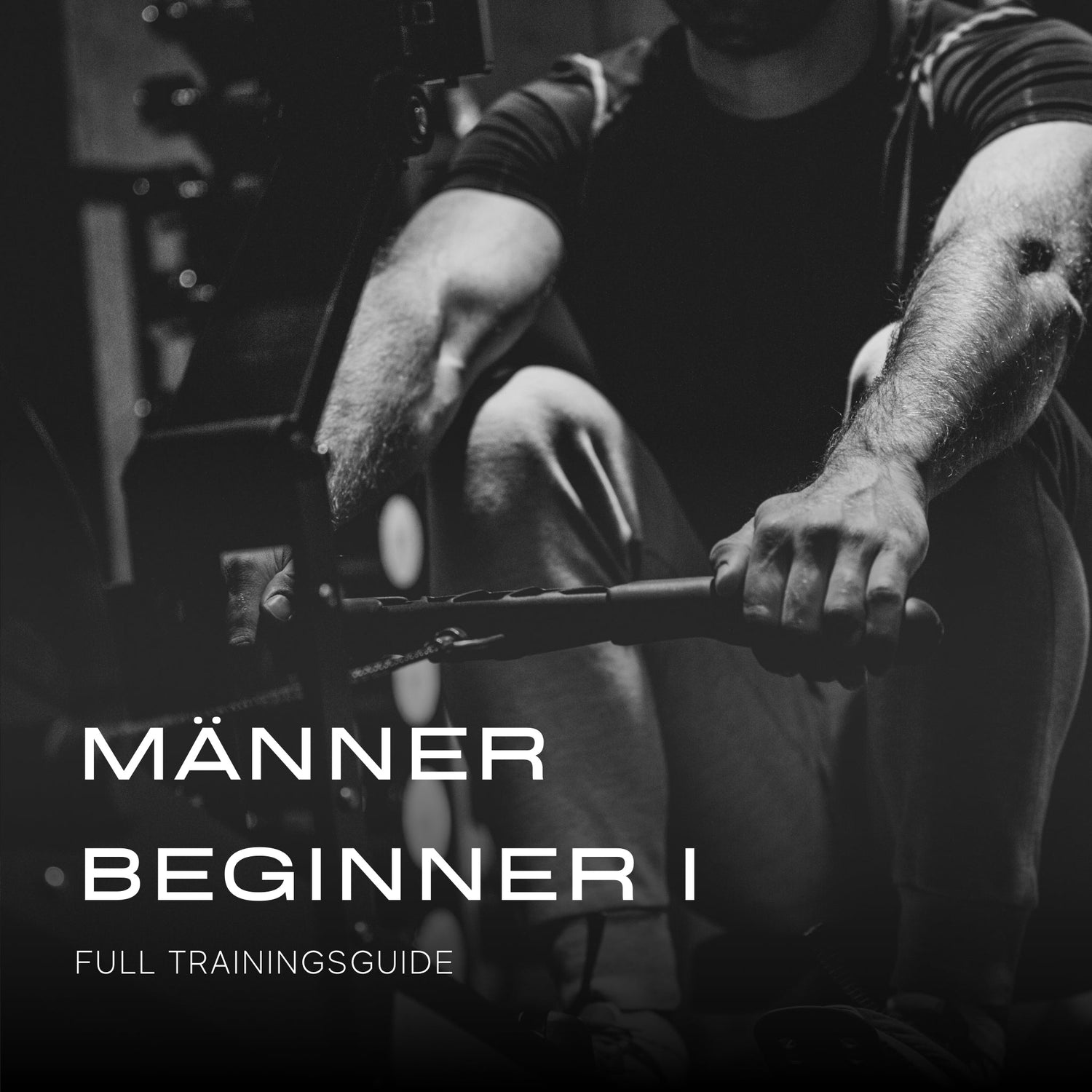 Beginner